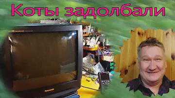 500 долларов за Panasonic. Его не любят коты. Теперь не включается. Ремонт телевизора в 2023 году.